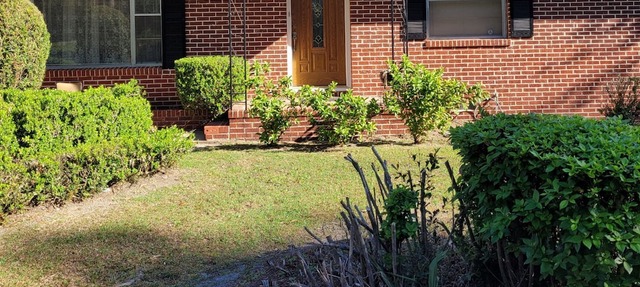 Tranquility and Convenience in Crawfordville