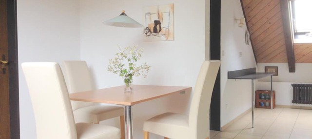 Vacation apartment "Hohentwiel", 51sqm, 2 bedrooms, max. 3 persons in Konstanz
