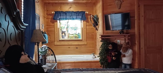 A BEARY TALE - INCREDIBLY ROMANTIC AND COZY - FREE WIFI - Perfect Location! in Gatlinburg