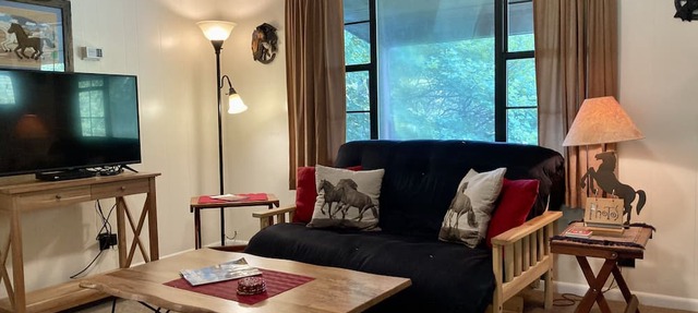 Cozy Cottage near National Park w/Awesome Mountain Views! Extremely clean! in Townsend